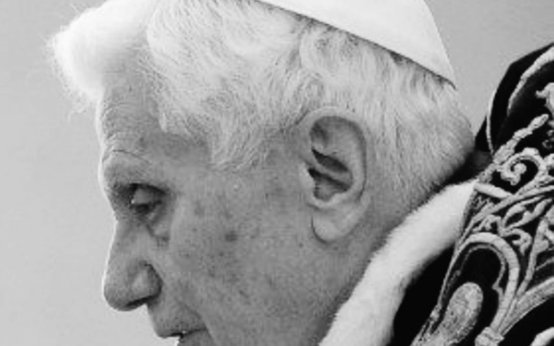 Bento XVI: o humilde servo da Vinha do Senhor e a pregação da Verdade.