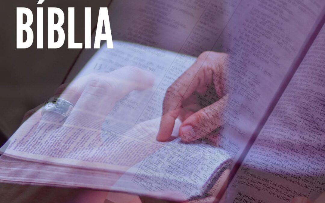 Celebrando o Mês da Bíblia: Um Convite para “Vestir-se da Nova Humanidade” com a Carta aos Efésios, e um episódio especial do Podcast “Diálogos” da Arquidiocese da Paraíba.