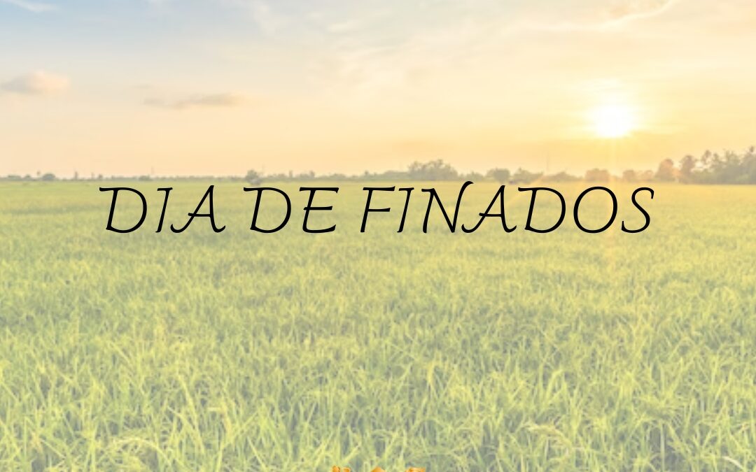 Missas do Dia de Finados Reúnem Fiéis nas Paróquias da Arquidiocese da Paraíba.