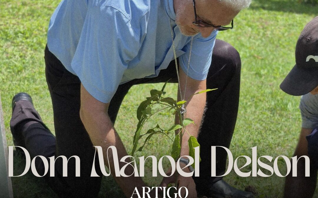 Existe uma terra que Deus quer plantar!